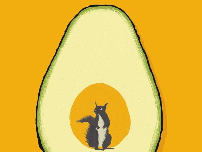 Audiobook Experience with The Hotel&nbsp;Avocado