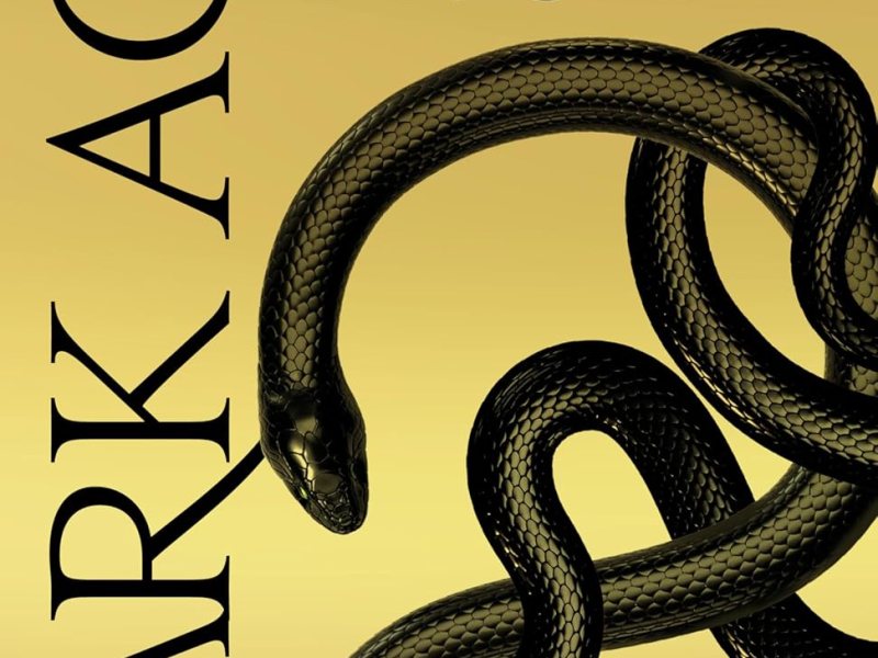 Dark Age: A harrowing but exemplary character-driven fifth entry in the Red Rising&nbsp;series